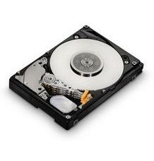 DELL WS-600GBSAS25-10RP Hard Drive:600GB 2.5inch SAS (10.000 Rpm